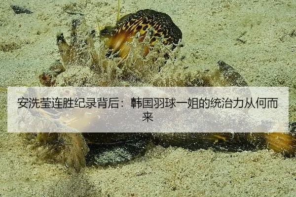 安洗莹连胜纪录背后：韩国羽球一姐的统治力从何而来