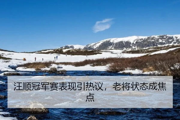 汪顺冠军赛表现引热议，老将状态成焦点