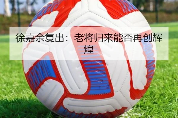 徐嘉余复出：老将归来能否再创辉煌